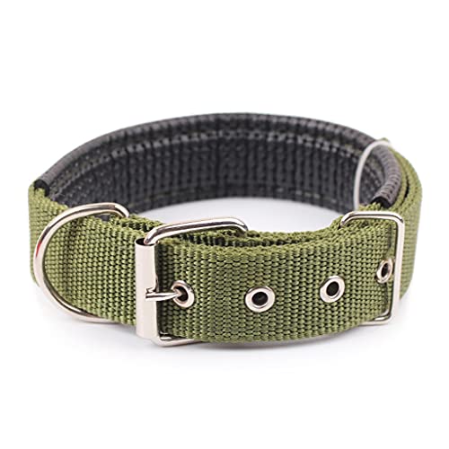 Solide Hundehalsbänder Nylon Hundehalsband für kleine, mittelgroße und große Hunde, Teddy Ke Ji Pitbull Bulldog Beagle (ArmyGreen X) von UOHUFIDABFD