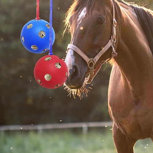 UOIENRT 2 Stück Pferd Leckerli Ball, Ziege Feeder Spielzeug Pferd Heu Ball Pferd Ball für Fütterung Pferd Ziege von UOIENRT