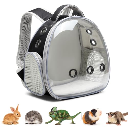 Bearded Dragon Eidechse Rucksack mit Geschirr und Leine, Kleintier-Tragerucksack, Raumkapsel Bubble Window Carrier Rucksack, Reptilienträger Rucksack, Fluggesellschaft zugelassen (Schwarz) von UOOPET