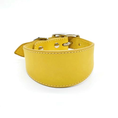 UOSIA Breites Echtleder Hundehalsband Für Greyhounds – Verstellbare Metallschnalle, Wasserdicht, Elegant Und Luxus Für Hunde Großer Und Mittlerer Rasse UOSIA Breites Echtleder Hundehalsband Für Greyhounds – Verstellbare Metallschnalle, Wasserdicht, Elegant Und Luxus Für Hunde Großer Und Mittlerer Rasse von UOSIA