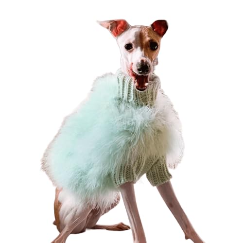UOSIA Grauer Pullover mit Feder Luxuriöser Warmer Pullover für Hunde Wintermode-Partykleidung für Whippets Rollkragenpullover für kaltes Wetter für kleine und mittelgroße Hunde UOSIA Grauer Pullover mit Feder Luxuriöser Warmer Pullover für Hunde Wintermode-Partykleidung für Whippets Rollkragenpullover für kaltes Wetter für kleine und mittelgroße Hunde von UOSIA