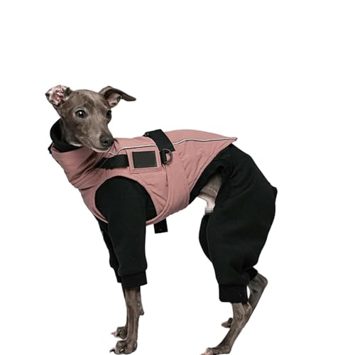 UOSIA Greyhound Winter Mantel Verstellbarer Schildkröte Hals Fleece Futter Whippet Warm Mantel Mit Reflektierenden Streifen wasserdichte Outdoor Hund Jacke Für Lurcher Salukis UOSIA Greyhound Winter Mantel Verstellbarer Schildkröte Hals Fleece Futter Whippet Warm Mantel Mit Reflektierenden Streifen wasserdichte Outdoor Hund Jacke Für Lurcher Salukis von UOSIA
