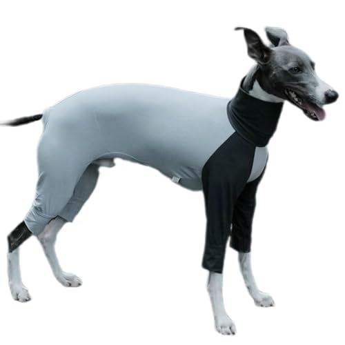 UOSIA Große Hund Kühlung Pyjamas, Sommer Jumpsuit Schnelltrocknen Atmungsaktives T-Shirt Für Italienische Greyhound Whippet Hunde UOSIA Große Hund Kühlung Pyjamas, Sommer Jumpsuit Schnelltrocknen Atmungsaktives T-Shirt Für Italienische Greyhound Whippet Hunde von UOSIA