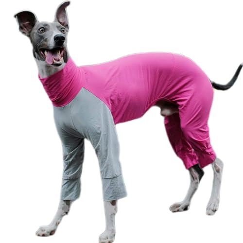 UOSIA Große Hund Kühlung Pyjamas, Sommer Jumpsuit Schnelltrocknen Atmungsaktives T-Shirt Für Italienische Greyhound Whippet Hunde von UOSIA