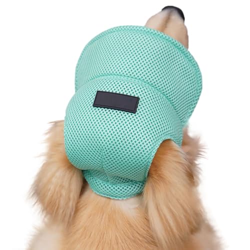 UOSIA Hund Baseball Cap Sonnenmütze Für Große Hunde Verstellbare Atmungsaktive Haustier Sport Cap UOSIA Hund Baseball Cap Sonnenmütze Für Große Hunde Verstellbare Atmungsaktive Haustier Sport Cap von UOSIA