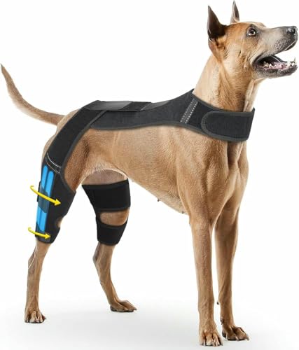 UOSIA Hund Knie Brace Für Rückbein Hält Gelenke Warm Und Stabil, Hund Hinterbein Wrap Harness Set Für Beinpflege Verhindert Lecken, Verstellbare Knie Unterstützung UOSIA Hund Knie Brace Für Rückbein Hält Gelenke Warm Und Stabil, Hund Hinterbein Wrap Harness Set Für Beinpflege Verhindert Lecken, Verstellbare Knie Unterstützung von UOSIA