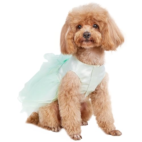 UOSIA Hund Prinzessin Kleid Für Kleine Mittlere Hunde Sommer Mädchen Welpen Tüll Kleid Formelle Haustier Hochzeitsfeier Geburtstag Outfit UOSIA Hund Prinzessin Kleid Für Kleine Mittlere Hunde Sommer Mädchen Welpen Tüll Kleid Formelle Haustier Hochzeitsfeier Geburtstag Outfit von UOSIA