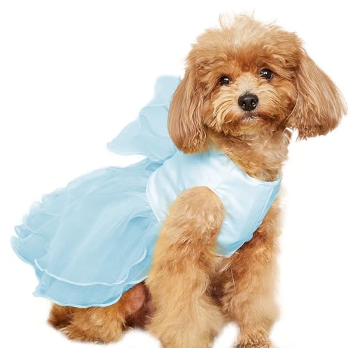 UOSIA Hund Prinzessin Kleid Für Kleine Mittlere Hunde Sommer Mädchen Welpen Tüll Kleid Formelle Haustier Hochzeitsfeier Geburtstag Outfit UOSIA Hund Prinzessin Kleid Für Kleine Mittlere Hunde Sommer Mädchen Welpen Tüll Kleid Formelle Haustier Hochzeitsfeier Geburtstag Outfit von UOSIA