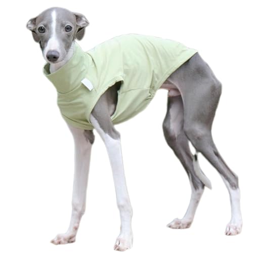 UOSIA Hund T-Shirt Für Italienischen Greyhound, Mittlere Große Ärmellose Leichte T-Shirt Für Den Sommer Outdoor Wearing, Whippet Kleidung UOSIA Hund T-Shirt Für Italienischen Greyhound, Mittlere Große Ärmellose Leichte T-Shirt Für Den Sommer Outdoor Wearing, Whippet Kleidung von UOSIA