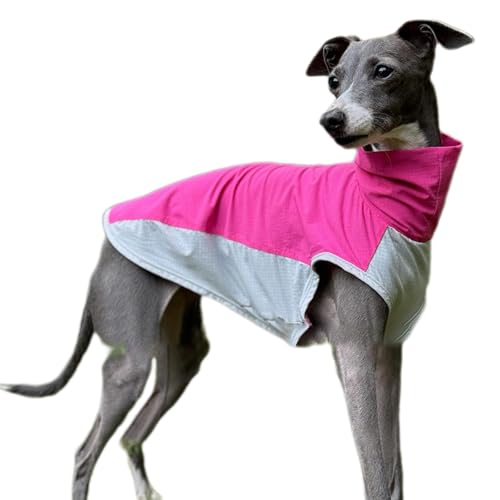 UOSIA Hund T-Shirt Leichtgewicht Atmungsaktive Kühlweste, Schnell Trockene Sommerkleidung Für Italienische Greyhound Whippets Hunde UOSIA Hund T-Shirt Leichtgewicht Atmungsaktive Kühlweste, Schnell Trockene Sommerkleidung Für Italienische Greyhound Whippets Hunde von UOSIA