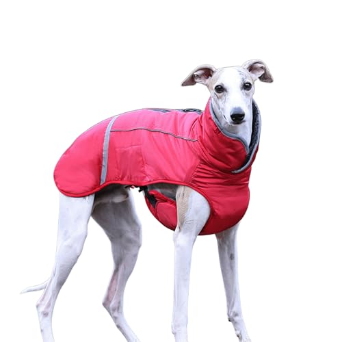 UOSIA Hund Wintermantel Mit Fleece Futter Winddichte Schildkröte Hals Kaltes Wetter Mäntel Für Italienische Greyhound Whippets, Verstellbare Quick-Release-Schnalle Für Mittlere/Große Hunde von UOSIA