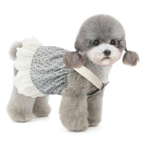 UOSIA Hunde-Prinzessin-Kleid für kleine Hunde, Mädchen, floraler Hunderock, Haustier-Hunde-Hosenträger-Weste-Kleid, modische Baumwollspitze, Hunde-Geburtstagsparty-Outfits, Sommer UOSIA Hunde-Prinzessin-Kleid für kleine Hunde, Mädchen, floraler Hunderock, Haustier-Hunde-Hosenträger-Weste-Kleid, modische Baumwollspitze, Hunde-Geburtstagsparty-Outfits, Sommer von UOSIA