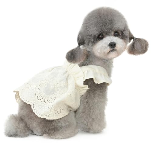 UOSIA Hundekleid für mittelgroße Hunde, Mädchen, Hund, Hochzeitskleid, Baumwollspitze, hohl, Bestickt, Haustier-Hunde-Tutu-Rock, modisches Luxus-Welpen-Prinzessin-Kostüm UOSIA Hundekleid für mittelgroße Hunde, Mädchen, Hund, Hochzeitskleid, Baumwollspitze, hohl, Bestickt, Haustier-Hunde-Tutu-Rock, modisches Luxus-Welpen-Prinzessin-Kostüm von UOSIA