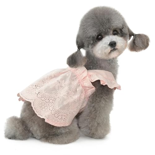 UOSIA Hundekleid für mittelgroße Hunde, Mädchen, Hund, Hochzeitskleid, Baumwollspitze, hohl, Bestickt, Haustier-Hunde-Tutu-Rock, modisches Luxus-Welpen-Prinzessin-Kostüm UOSIA Hundekleid für mittelgroße Hunde, Mädchen, Hund, Hochzeitskleid, Baumwollspitze, hohl, Bestickt, Haustier-Hunde-Tutu-Rock, modisches Luxus-Welpen-Prinzessin-Kostüm von UOSIA