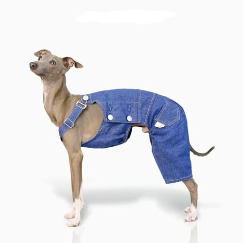 UOSIA Italienisch Greyhound Onesie Denim Overalls Kleidung Mode Klassischer Hund Sling Jeans Hemden & Hosen Sets Overall für kaltes Wetter Hundemantel UOSIA Italienisch Greyhound Onesie Denim Overalls Kleidung Mode Klassischer Hund Sling Jeans Hemden & Hosen Sets Overall für kaltes Wetter Hundemantel von UOSIA