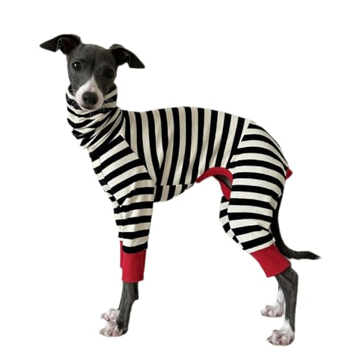UOSIA Italienische Greyhound Kleidung Fall Warm Pullover Für Whippet Schildkröte Hals Stretch Puppy Jumpsuit Klassische Streifen Pyjamas Für Kleine Mittlere Hunde UOSIA Italienische Greyhound Kleidung Fall Warm Pullover Für Whippet Schildkröte Hals Stretch Puppy Jumpsuit Klassische Streifen Pyjamas Für Kleine Mittlere Hunde von UOSIA
