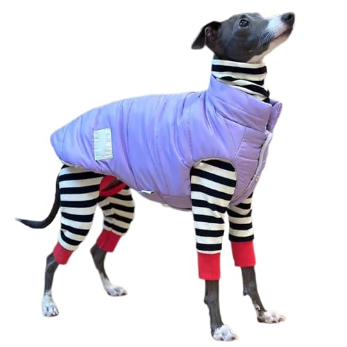 UOSIA Italienische Greyhound Kleidung Fall Warm Pullover Für Whippet Schildkröte Hals Stretch Puppy Jumpsuit Klassische Streifen Pyjamas Für Kleine Mittlere Hunde UOSIA Italienische Greyhound Kleidung Fall Warm Pullover Für Whippet Schildkröte Hals Stretch Puppy Jumpsuit Klassische Streifen Pyjamas Für Kleine Mittlere Hunde von UOSIA