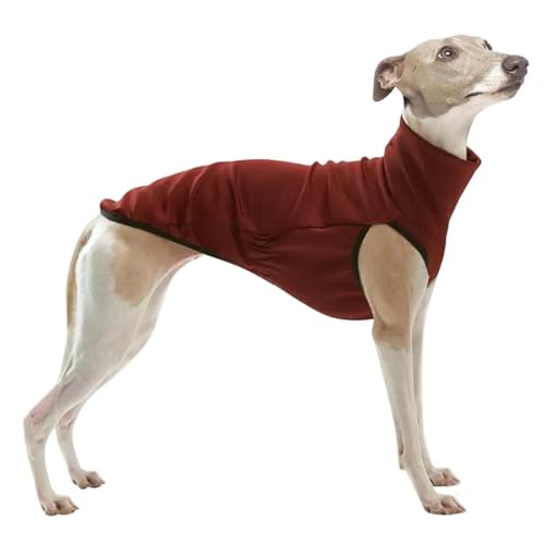 UOSIA Italienischer Windhund Warmes Rollkragen-Pullover-Sweatshirt aus Strick für Whippets Einfarbig, dehnbar, kuschelig, ärmellos Pyjama für mittelgroße bis große Hunde UOSIA Italienischer Windhund Warmes Rollkragen-Pullover-Sweatshirt aus Strick für Whippets Einfarbig, dehnbar, kuschelig, ärmellos Pyjama für mittelgroße bis große Hunde von UOSIA