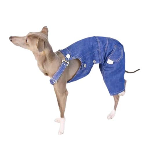 UOSIA Italienischer Windhundkleidung Denim Overall Jean Jacket Petable Haustierhosen für kleine mittelgroße Hunde UOSIA Italienischer Windhundkleidung Denim Overall Jean Jacket Petable Haustierhosen für kleine mittelgroße Hunde von UOSIA