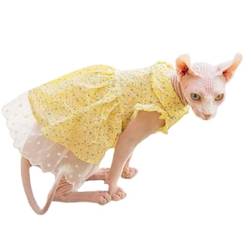 UOSIA Katzenkleid mit Blumendruck und Spitze, haarloses Sommerprinzessinnenkleid, Kätzchenkleidung für Sphynx, Cornish Rex, Devon Rex, Peterbald UOSIA Katzenkleid mit Blumendruck und Spitze, haarloses Sommerprinzessinnenkleid, Kätzchenkleidung für Sphynx, Cornish Rex, Devon Rex, Peterbald von UOSIA