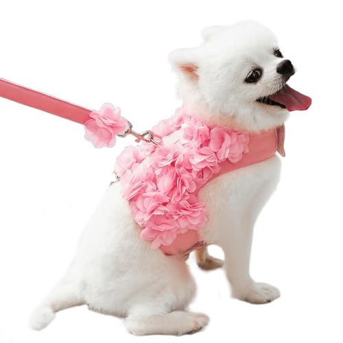 UOSIA Niedliche Blume Hunde Gurt Und Leine Set Welpen Atmungsaktive Mesh Weste Gurte Verstellbare Doggy Spitze Kleid Leine Für Partys Und Hochzeit von UOSIA
