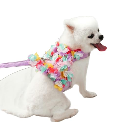 UOSIA Niedliche Blume Hunde Gurt Und Leine Set Welpen Atmungsaktive Mesh Weste Gurte Verstellbare Doggy Spitze Kleid Leine Für Partys Und Hochzeit UOSIA Niedliche Blume Hunde Gurt Und Leine Set Welpen Atmungsaktive Mesh Weste Gurte Verstellbare Doggy Spitze Kleid Leine Für Partys Und Hochzeit von UOSIA
