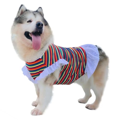 UOSIA Regenbogenfarbenes, buntes gestreiftes großes Hundekleid, dehnbarer Pullover, atmungsaktiv, Hunde-Shirt, Spitze, ärmellos, Tutu-Weste, T-Shirt-Rock, Größe S UOSIA Regenbogenfarbenes, buntes gestreiftes großes Hundekleid, dehnbarer Pullover, atmungsaktiv, Hunde-Shirt, Spitze, ärmellos, Tutu-Weste, T-Shirt-Rock, Größe S von UOSIA