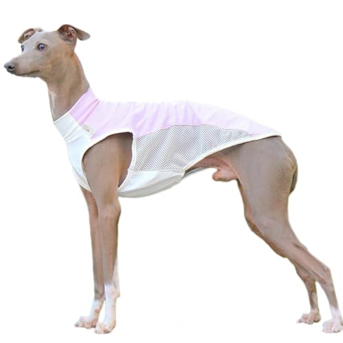 UOSIA Sonnenschutz Haustier T-Shirts, Schnelltrocknende Atmungsaktive Mesh Hundeweste Kleidung Für Italienische Greyhound Whippet Hunde von UOSIA
