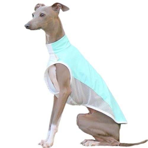 UOSIA Sonnenschutz Haustier T-Shirts, Schnelltrocknende Atmungsaktive Mesh Hundeweste Kleidung Für Italienische Greyhound Whippet Hunde von UOSIA