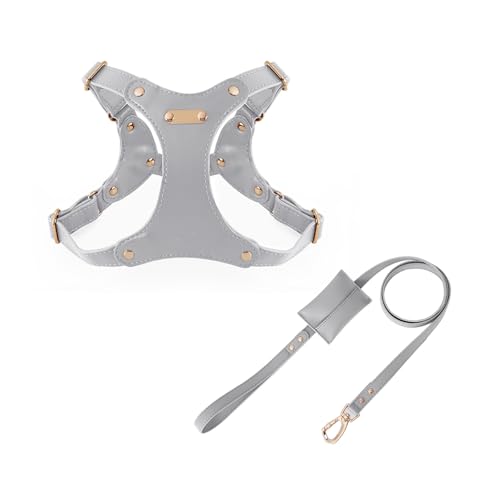 UOSIA Verstellbarer Weicher Lederhundgurt Und Leine Set Für Kleine Mittlere Hunde Bequemes Kein Ziehen Hundegurt Mit 2 Leine Clips Für Haustiertraining Gehen UOSIA Verstellbarer Weicher Lederhundgurt Und Leine Set Für Kleine Mittlere Hunde Bequemes Kein Ziehen Hundegurt Mit 2 Leine Clips Für Haustiertraining Gehen von UOSIA
