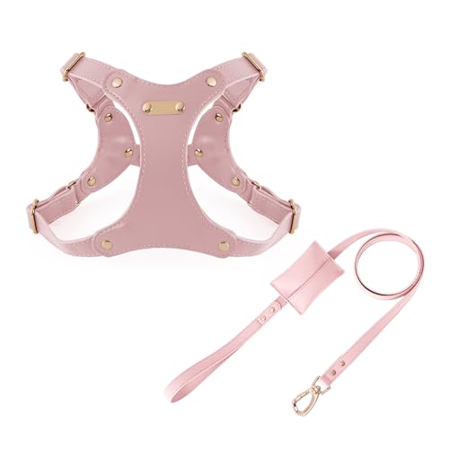 UOSIA Verstellbarer Weicher Lederhundgurt Und Leine Set Für Kleine Mittlere Hunde Bequemes Kein Ziehen Hundegurt Mit 2 Leine Clips Für Haustiertraining Gehen von UOSIA
