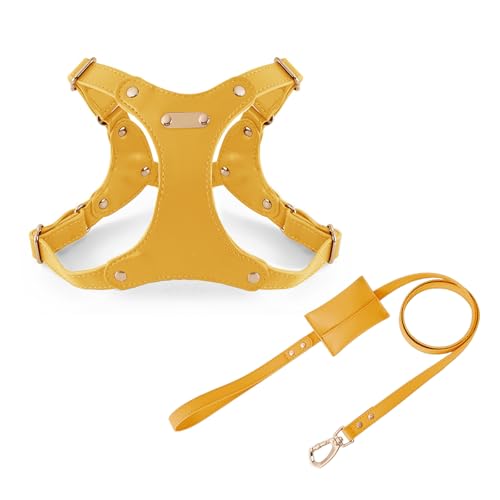 UOSIA Verstellbarer Weicher Lederhundgurt Und Leine Set Für Kleine Mittlere Hunde Bequemes Kein Ziehen Hundegurt Mit 2 Leine Clips Für Haustiertraining Gehen von UOSIA