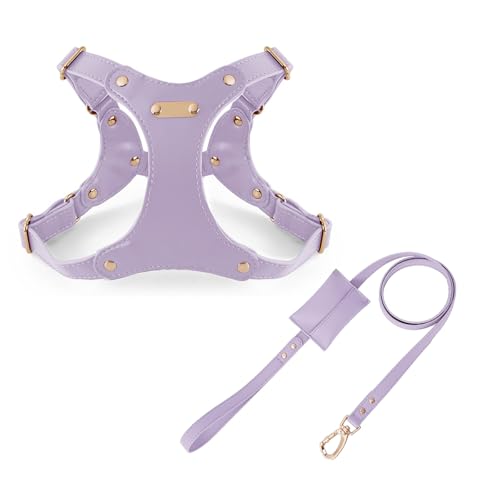 UOSIA Verstellbarer Weicher Lederhundgurt Und Leine Set Für Kleine Mittlere Hunde Bequemes Kein Ziehen Hundegurt Mit 2 Leine Clips Für Haustiertraining Gehen UOSIA Verstellbarer Weicher Lederhundgurt Und Leine Set Für Kleine Mittlere Hunde Bequemes Kein Ziehen Hundegurt Mit 2 Leine Clips Für Haustiertraining Gehen von UOSIA