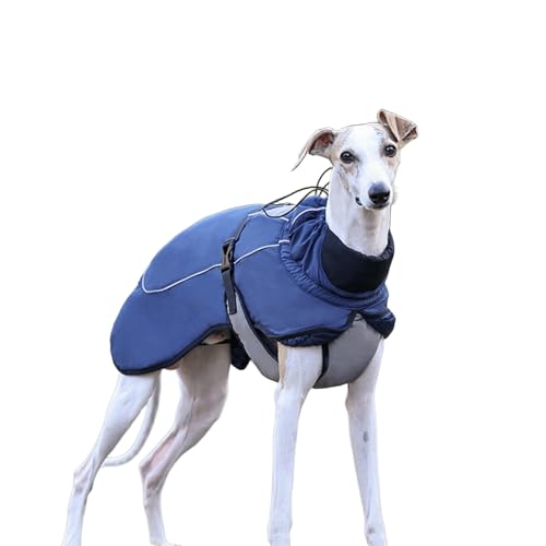 UOSIA Warmer Winter Hundemantel Mode Sport Kaltes Wetter Italienischer Greyhound Whippet Jacke Reflektierende Welpe Schildkröte Hals Haustier Jacke Mit Verstellbarem Gürtel Für Kleine Mittlere Hunde UOSIA Warmer Winter Hundemantel Mode Sport Kaltes Wetter Italienischer Greyhound Whippet Jacke Reflektierende Welpe Schildkröte Hals Haustier Jacke Mit Verstellbarem Gürtel Für Kleine Mittlere Hunde von UOSIA