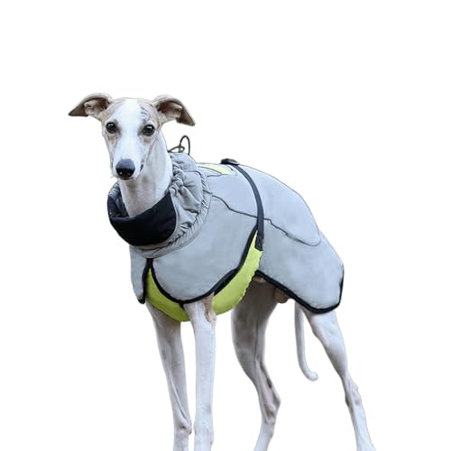 UOSIA Warmer Winter Hundemantel Mode Sport Kaltes Wetter Italienischer Greyhound Whippet Jacke Reflektierende Welpe Schildkröte Hals Haustier Jacke Mit Verstellbarem Gürtel Für Kleine Mittlere Hunde UOSIA Warmer Winter Hundemantel Mode Sport Kaltes Wetter Italienischer Greyhound Whippet Jacke Reflektierende Welpe Schildkröte Hals Haustier Jacke Mit Verstellbarem Gürtel Für Kleine Mittlere Hunde von UOSIA