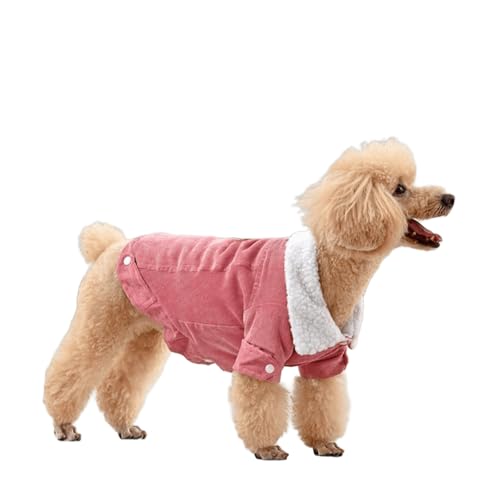 UOSIA Winter-Hundemäntel aus Cord Niedliche mit Fleece gefütterte warme Jacke für Welpen mit Knopfleiste am Kragen Kleidung für Hunde bei kaltem Wetter für Jungen und Mädchen von UOSIA