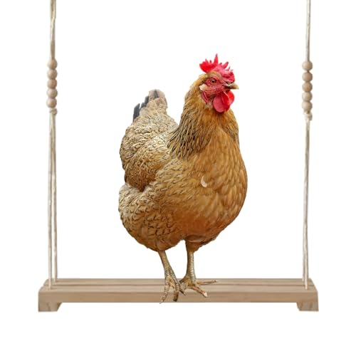 Hühnerschaukel, Hühnerspielzeug 40x8x5cm Hühnerstall Zubehör Holz Hühner Spielzeug Sitzstangen für Hühner Zubehörr Hühnerfarm Hühnerbesitzer Hühnerliebhaber Geschenke Hühnerschaukel, Hühnerspielzeug 40x8x5cm Hühnerstall Zubehör Holz Hühner Spielzeug Sitzstangen für Hühner Zubehörr Hühnerfarm Hühnerbesitzer Hühnerliebhaber Geschenke von UOSIWYA