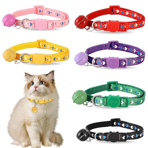 Katzenhalsband, Schnellverschluss, Katzenhalsband, Kätzchenhalsband mit Glöckchen, verstellbar, 19–32 cm, für alle Kätzchen, 6 Stück Katzenhalsband, Schnellverschluss, Katzenhalsband, Kätzchenhalsband mit Glöckchen, verstellbar, 19–32 cm, für alle Kätzchen, 6 Stück von UOSIWYA