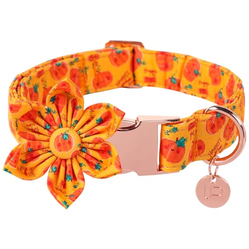 Halloween-Kürbis-Hundehalsband mit Blume, UP URARA PUP Orange, Halloween-Hundehalsband mit verstellbarer Metallschnalle, ausgefallenes Halloween-Haustierhalsband, Fliege, Geschenk für Mädchen, Jungen, Halloween-Kürbis-Hundehalsband mit Blume, UP URARA PUP Orange, Halloween-Hundehalsband mit verstellbarer Metallschnalle, ausgefallenes Halloween-Haustierhalsband, Fliege, Geschenk für Mädchen, Jungen, von UP URARA PUP