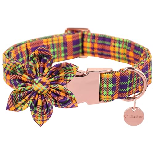 UP URARA PUP Halloween-Halsband für Haustiere, Blume, Karomuster für kleine Hündinnen, Herbst und Winter, robuste Metallschnalle, XS, Halsumfang 20,3–30,5 cm UP URARA PUP Halloween-Halsband für Haustiere, Blume, Karomuster für kleine Hündinnen, Herbst und Winter, robuste Metallschnalle, XS, Halsumfang 20,3–30,5 cm von UP URARA PUP