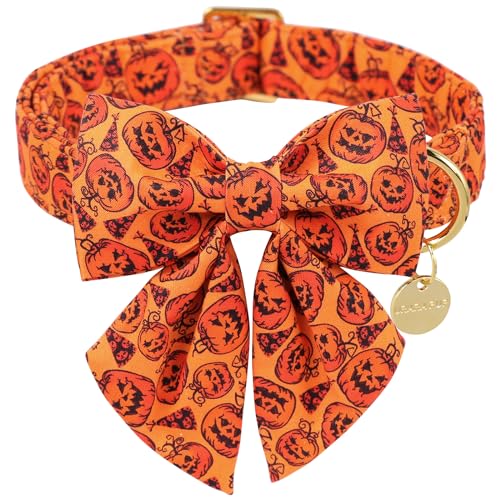 UP URARA PUP Halloween-Hundehalsband mit Fliege, Kürbis-Baumwoll-Fliege für Welpen, Mädchen, Hund oder Katze, Halloween-Fliege mit robuster Metallschnalle, bezauberndes Haustierhalsband, Größe L UP URARA PUP Halloween-Hundehalsband mit Fliege, Kürbis-Baumwoll-Fliege für Welpen, Mädchen, Hund oder Katze, Halloween-Fliege mit robuster Metallschnalle, bezauberndes Haustierhalsband, Größe L von UP URARA PUP
