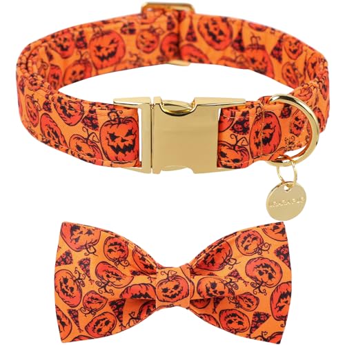 UP URARA PUP Halloween-Hundehalsband mit Fliege, Kürbis-Baumwoll-Fliege für Welpen, Mädchen, Hund oder Katze, Halloween-Fliege mit robuster Metallschnalle, bezauberndes Haustierhalsband, Größe S UP URARA PUP Halloween-Hundehalsband mit Fliege, Kürbis-Baumwoll-Fliege für Welpen, Mädchen, Hund oder Katze, Halloween-Fliege mit robuster Metallschnalle, bezauberndes Haustierhalsband, Größe S von UP URARA PUP
