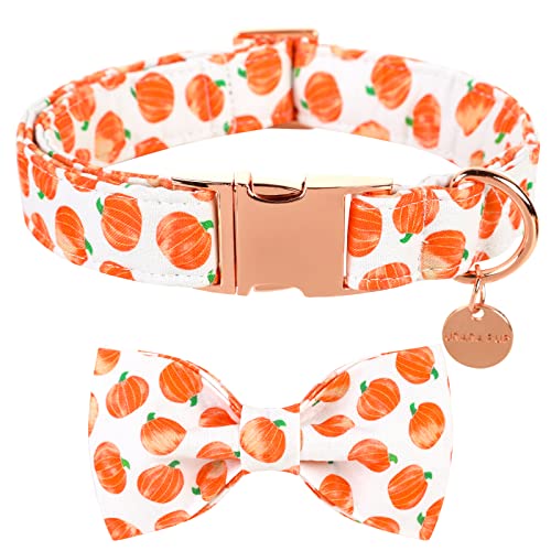 UP URARA PUP Halloween-Hundehalsband mit Fliege, Kürbis-Hundehalsband für kleine Mädchen, Jungen, Herbst-Hundehalsband, Fliege mit robuster Metallschnalle, bezauberndes Erntedankfest, Größe S, UP URARA PUP Halloween-Hundehalsband mit Fliege, Kürbis-Hundehalsband für kleine Mädchen, Jungen, Herbst-Hundehalsband, Fliege mit robuster Metallschnalle, bezauberndes Erntedankfest, Größe S, von UP URARA PUP