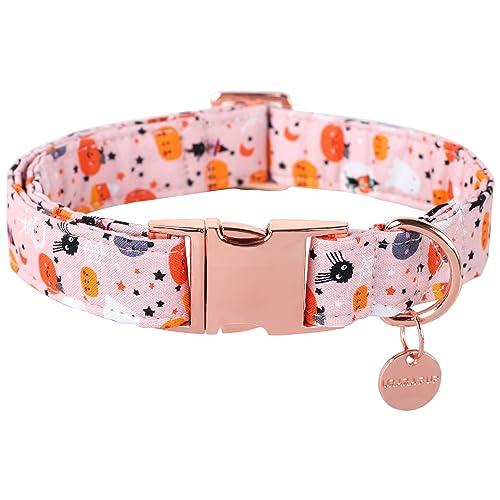 UP URARA PUP Halloween-Hundehalsband mit Metallschnalle, Geschenk, Kürbis-Hundehalsband für kleine, mittelgroße und große Mädchen oder Jungen, niedlich, langlebig, bequem UP URARA PUP Halloween-Hundehalsband mit Metallschnalle, Geschenk, Kürbis-Hundehalsband für kleine, mittelgroße und große Mädchen oder Jungen, niedlich, langlebig, bequem von UP URARA PUP