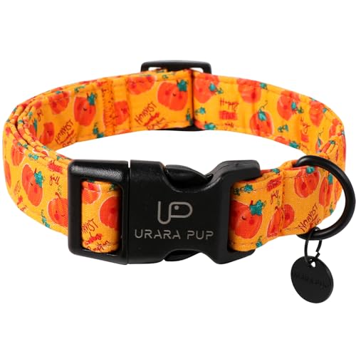 UP URARA PUP Halloween-Kürbis-Hundehalsband, leicht, orange, Halloween-Welpenhalsband mit Kunststoffschnalle, ausgefallen für Hunde, geeignet für kleine, mittelgroße und große Mädchen oder Jungen UP URARA PUP Halloween-Kürbis-Hundehalsband, leicht, orange, Halloween-Welpenhalsband mit Kunststoffschnalle, ausgefallen für Hunde, geeignet für kleine, mittelgroße und große Mädchen oder Jungen von UP URARA PUP