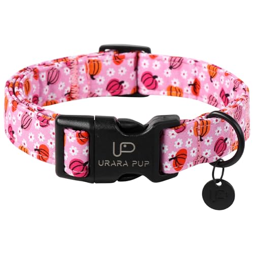 UP URARA PUP Halloween-Kürbis-Hundehalsband, leicht, rosa, Halloween-Welpenhalsband mit Kunststoffschnalle, ausgefallen für Hunde, geeignet für kleine, mittelgroße und große Mädchen oder Jungen UP URARA PUP Halloween-Kürbis-Hundehalsband, leicht, rosa, Halloween-Welpenhalsband mit Kunststoffschnalle, ausgefallen für Hunde, geeignet für kleine, mittelgroße und große Mädchen oder Jungen von UP URARA PUP