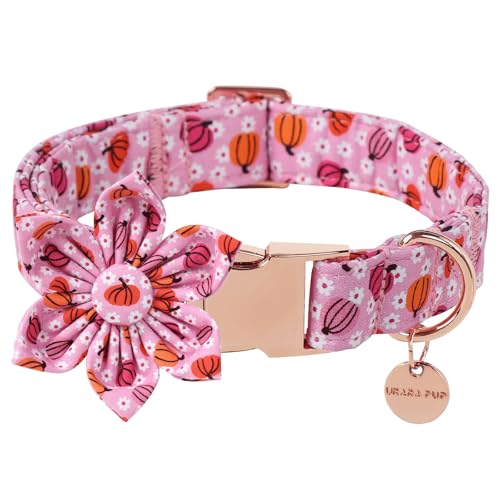 UP URARA PUP Halloween-Kürbis-Hundehalsband mit Blume, rosa Halloween-Welpen-Halsband mit verstellbarer Metallschnalle, ausgefallenes Halloween-Hundehalsband, Fliege, Geschenk für Mädchen, Jungen, UP URARA PUP Halloween-Kürbis-Hundehalsband mit Blume, rosa Halloween-Welpen-Halsband mit verstellbarer Metallschnalle, ausgefallenes Halloween-Hundehalsband, Fliege, Geschenk für Mädchen, Jungen, von UP URARA PUP