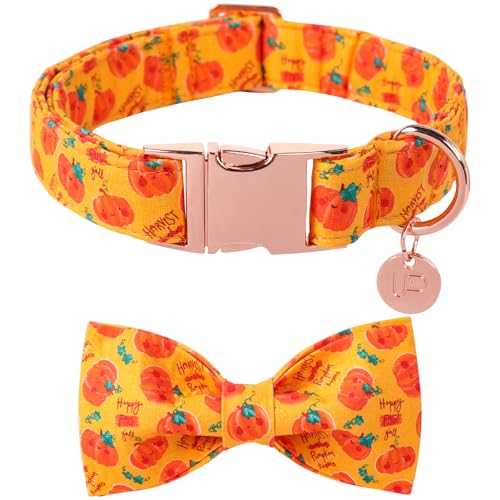 UP URARA PUP Halloween-Kürbis-Hundehalsband mit Fliege, Halloween-Hundehalsband mit verstellbarer Metallschnalle, ausgefallenes Haustierhalsband für Mädchen, Jungen, Hunde, Größe S UP URARA PUP Halloween-Kürbis-Hundehalsband mit Fliege, Halloween-Hundehalsband mit verstellbarer Metallschnalle, ausgefallenes Haustierhalsband für Mädchen, Jungen, Hunde, Größe S von UP URARA PUP