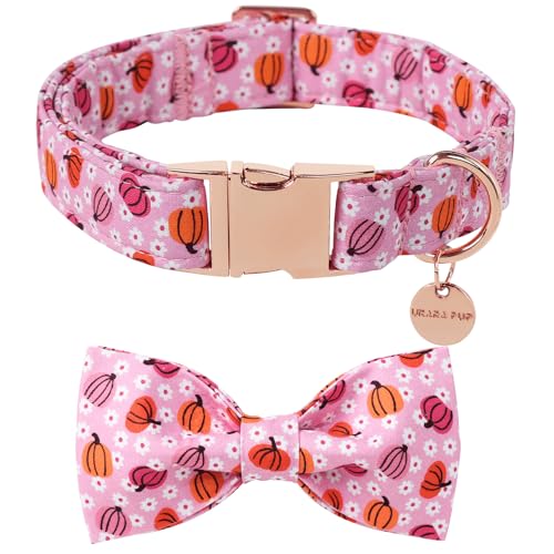 UP URARA PUP Halloween-Kürbis-Hundehalsband mit Fliege, Halloween-Welpenhalsband mit verstellbarer Metallschnalle, ausgefallenes Hundehalsband für Mädchen, Jungen, Hunde, XS, Halsumfang 20,3–30,5 cm UP URARA PUP Halloween-Kürbis-Hundehalsband mit Fliege, Halloween-Welpenhalsband mit verstellbarer Metallschnalle, ausgefallenes Hundehalsband für Mädchen, Jungen, Hunde, XS, Halsumfang 20,3–30,5 cm von UP URARA PUP