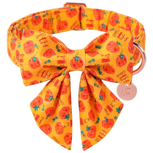 UP URARA PUP Halloween-Kürbis-Hundehalsband mit Fliege, orangefarbenes Halloween-Halsband mit verstellbarer Metallschnalle, ausgefallenes Hundehalsband, Fliege für Mädchen, Jungen, Hund, Größe L UP URARA PUP Halloween-Kürbis-Hundehalsband mit Fliege, orangefarbenes Halloween-Halsband mit verstellbarer Metallschnalle, ausgefallenes Hundehalsband, Fliege für Mädchen, Jungen, Hund, Größe L von UP URARA PUP